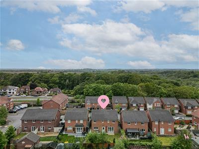 Picture 59